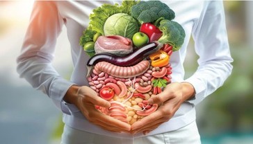 Gut Health and Probiotics: The Ultimate Guide to Foods That Heal Your Digestive System